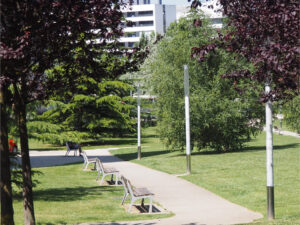 RENOVACIÓN DE ALUMBRADO PÚBLICO EN BURLADA-ERRIPAGAÑA